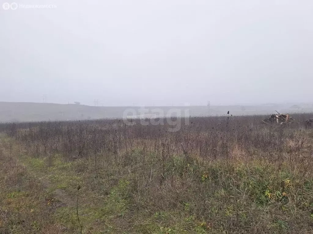 Участок в Плиево, улица Путина (10 м) - Фото 1