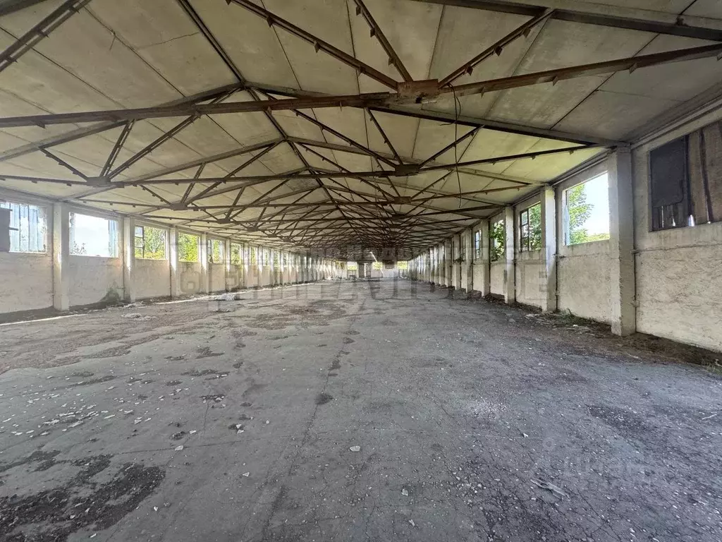 Склад в Смоленская область, Починковский муниципальный округ, ... - Фото 1