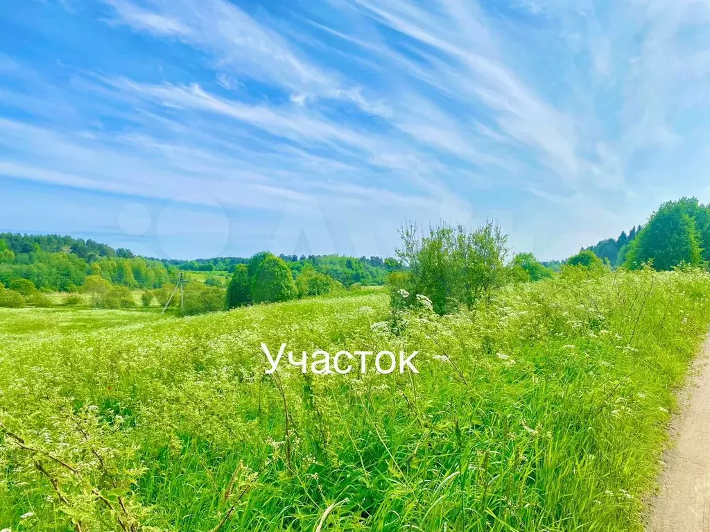 Участок 15 сот. (СНТ, ДНП) - Фото 0