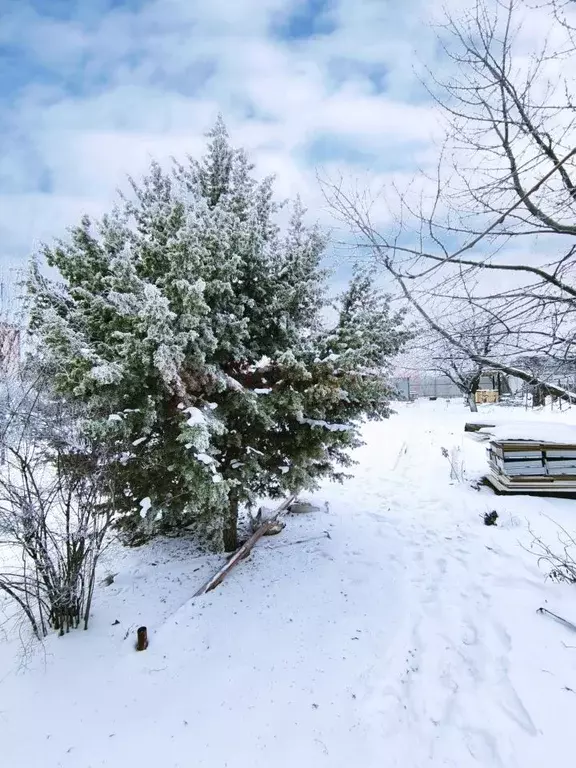 Участок в Ростовская область, Ростов-на-Дону пос. Кирпичный, пер. 2-й ... - Фото 1
