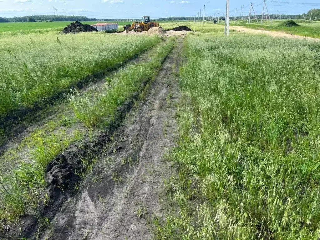 Участок в Тюменская область, Тюменский муниципальный округ, Каменское ... - Фото 1