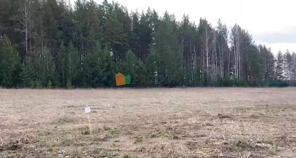 Участок в Свердловская область, Белоярский муниципальный округ, пос. ... - Фото 1