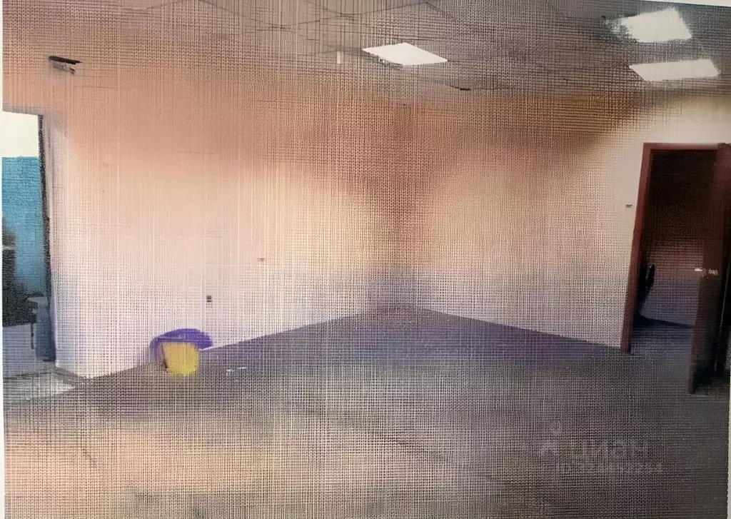 Помещение свободного назначения в Забайкальский край, Чита ул. ... - Фото 2