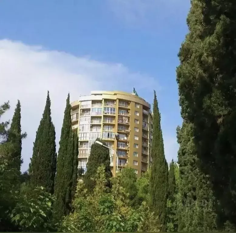 2-к кв. Краснодарский край, Сочи ул. Ленина, 219/35 (55.0 м) - Фото 1