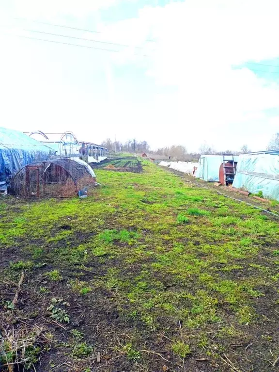 2-к кв. Тамбовская область, Моршанский муниципальный округ, с. Крюково ... - Фото 1