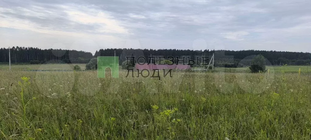 Участок 12 сот. (ИЖС) - Фото 0