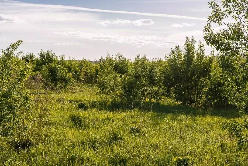 Участок в Московская область, Одинцовский городской округ, д. ... - Фото 0