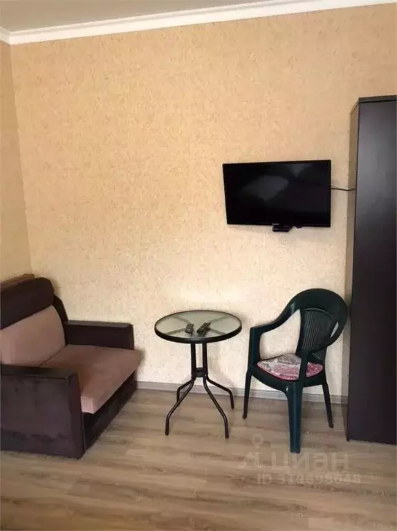 1-к кв. Краснодарский край, Сочи ул. Просвещения, 85Б (24.0 м) - Фото 1