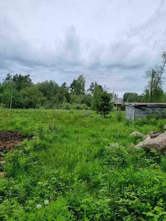 Участок в Ленинградская область, Приозерский район, Ларионовское ... - Фото 0