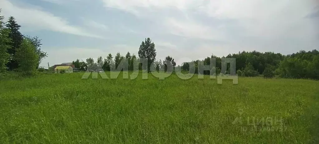 Участок в Новосибирская область, Новосибирский район, Кудряшовский ... - Фото 1