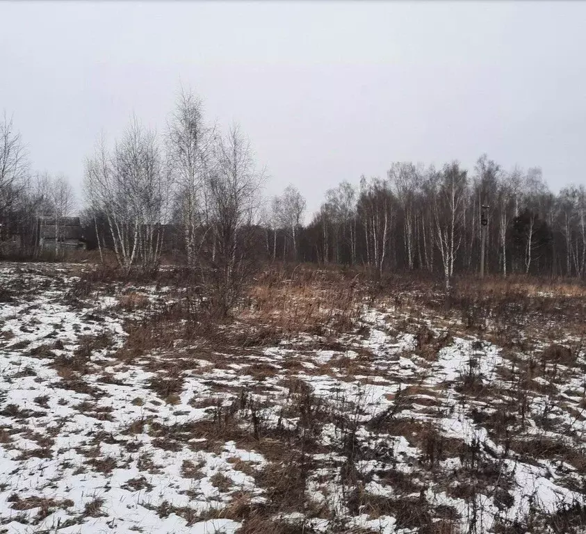 Участок в Московская область, Ступино городской округ, д. Тростники ... - Фото 1