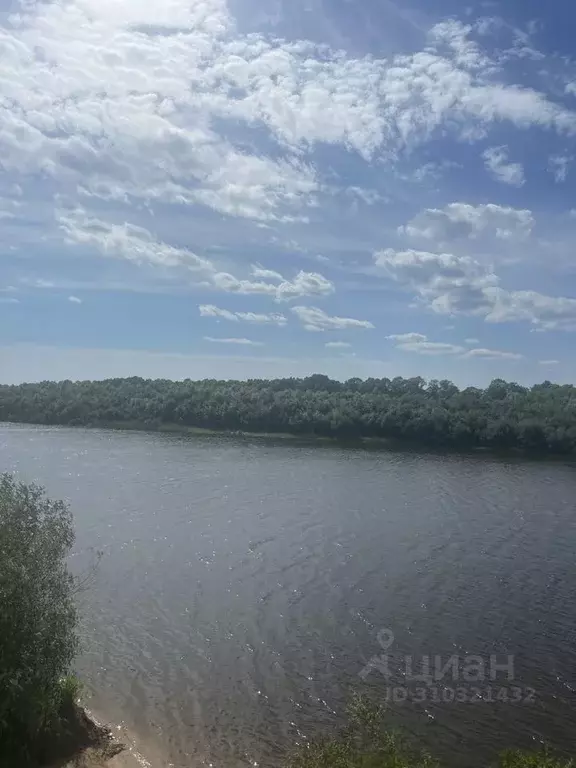 Участок в Новгородская область, Новгородский район, Бронницкое с/пос, ... - Фото 1