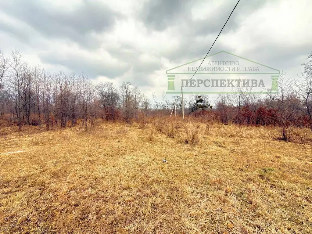 Участок в Приморский край, Артемовский городской округ, с. Ясное ул. ... - Фото 1