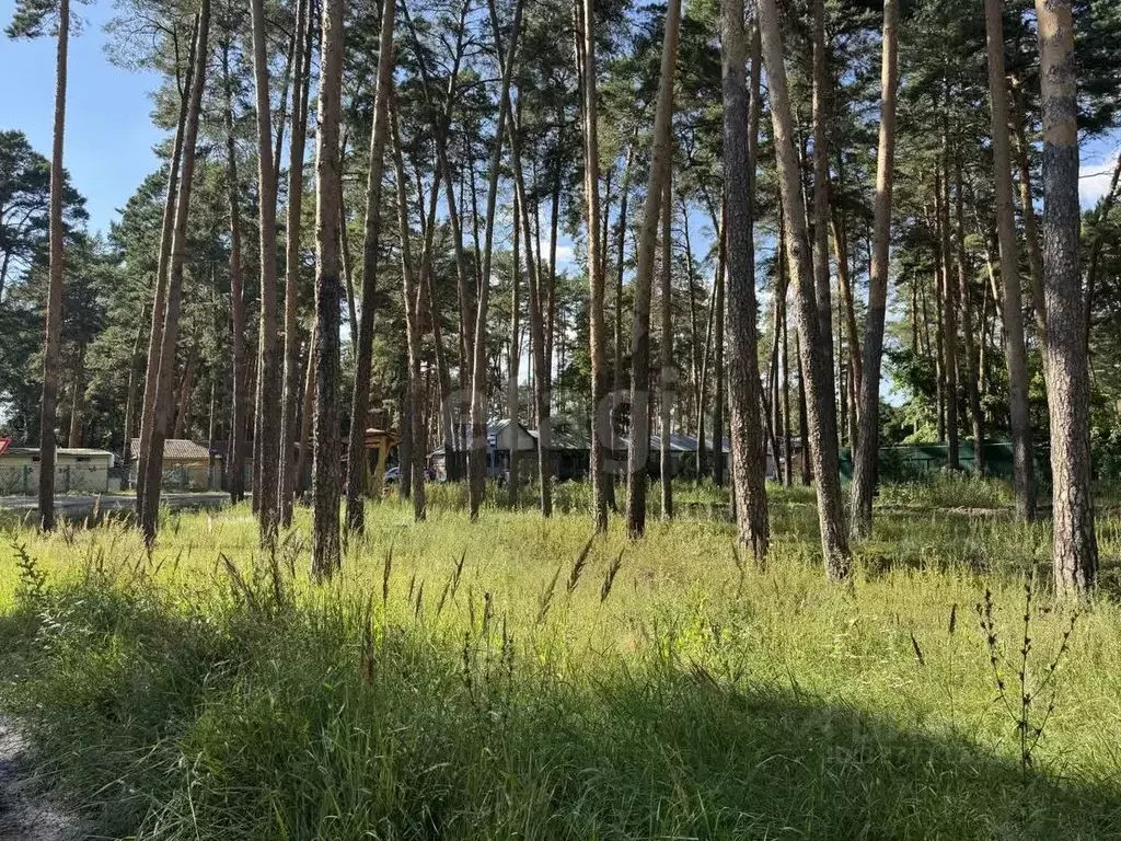 Участок в Тамбовская область, Тамбов ул. имени Маршала Малиновского, ... - Фото 1