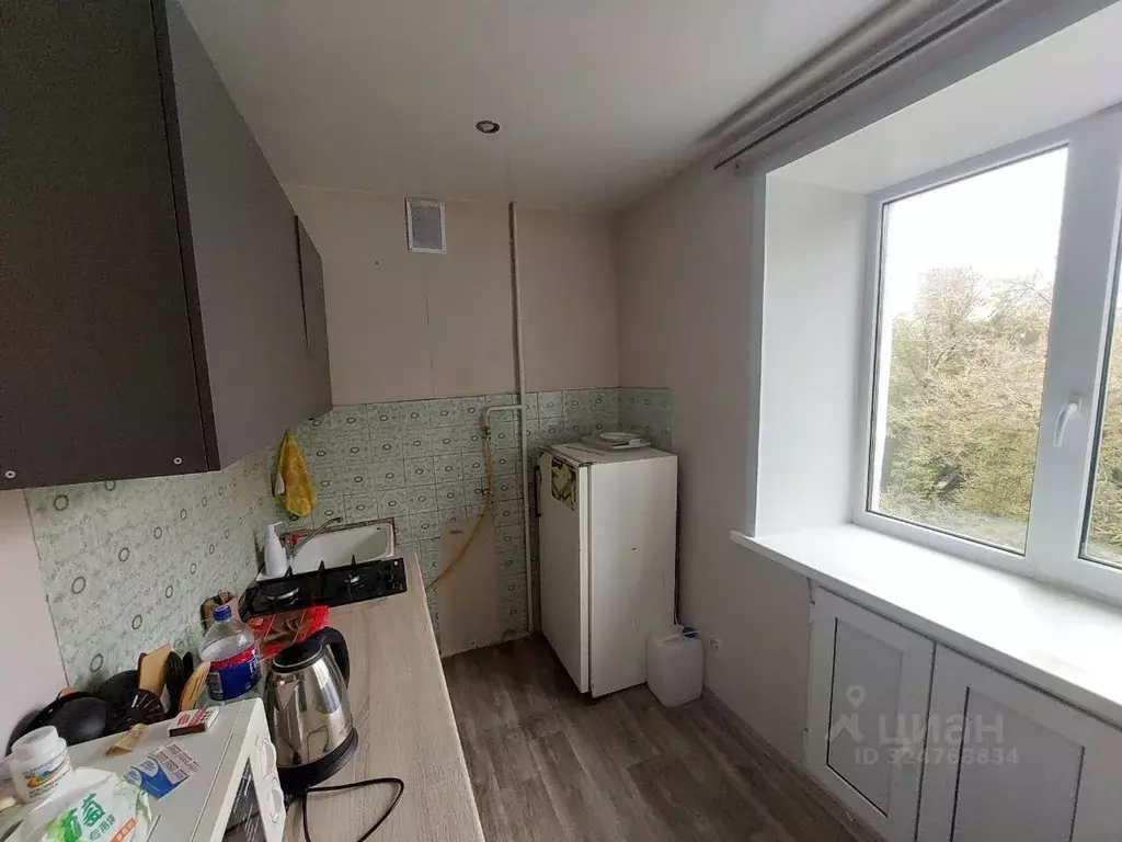 1-к кв. Пермский край, Пермь ул. Пушкина, 116А (24.3 м) - Фото 1