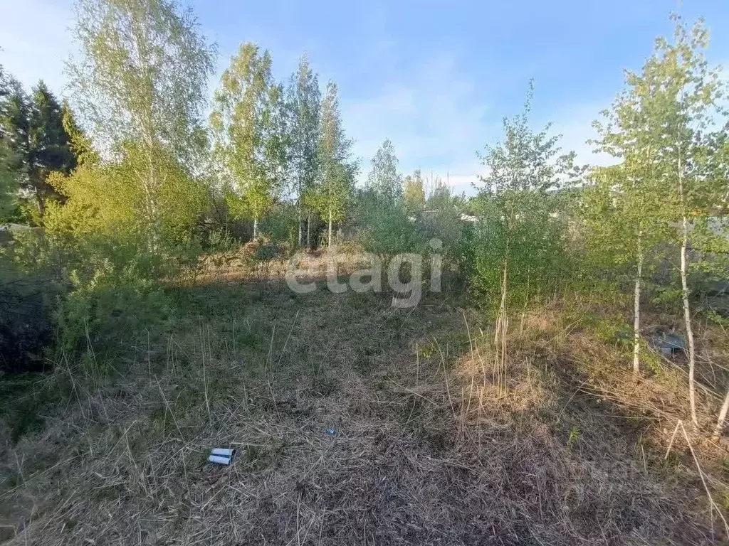 Участок в Тюменская область, Тюмень Березовая роща СНТ, ул. Полевая ... - Фото 1