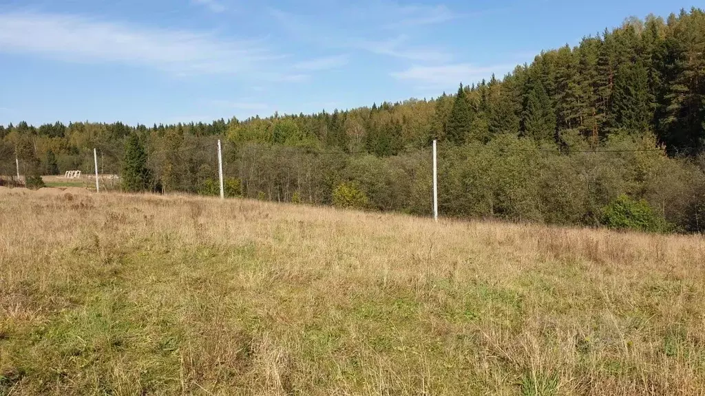 Участок в Московская область, Сергиево-Посадский городской округ, д. ... - Фото 1