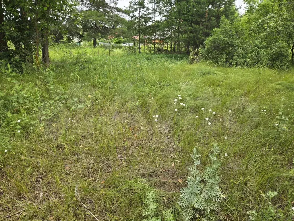 Участок 6,3 сот. (ИЖС) - Фото 1