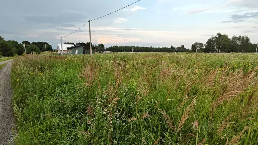 Участок в Московская область, Рузский муниципальный округ, д. Горки  ... - Фото 1