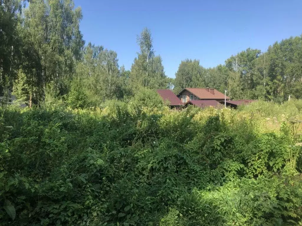 Участок в Костромская область, Красносельский район, Боровиковское ... - Фото 1