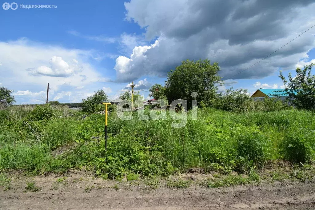 Участок в Вагайский район, деревня Ульяновка, Береговая улица (25 м) - Фото 0