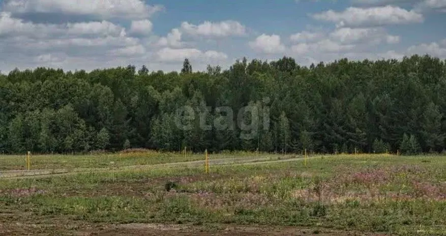 Участок в Свердловская область, Екатеринбург муниципальное ... - Фото 1