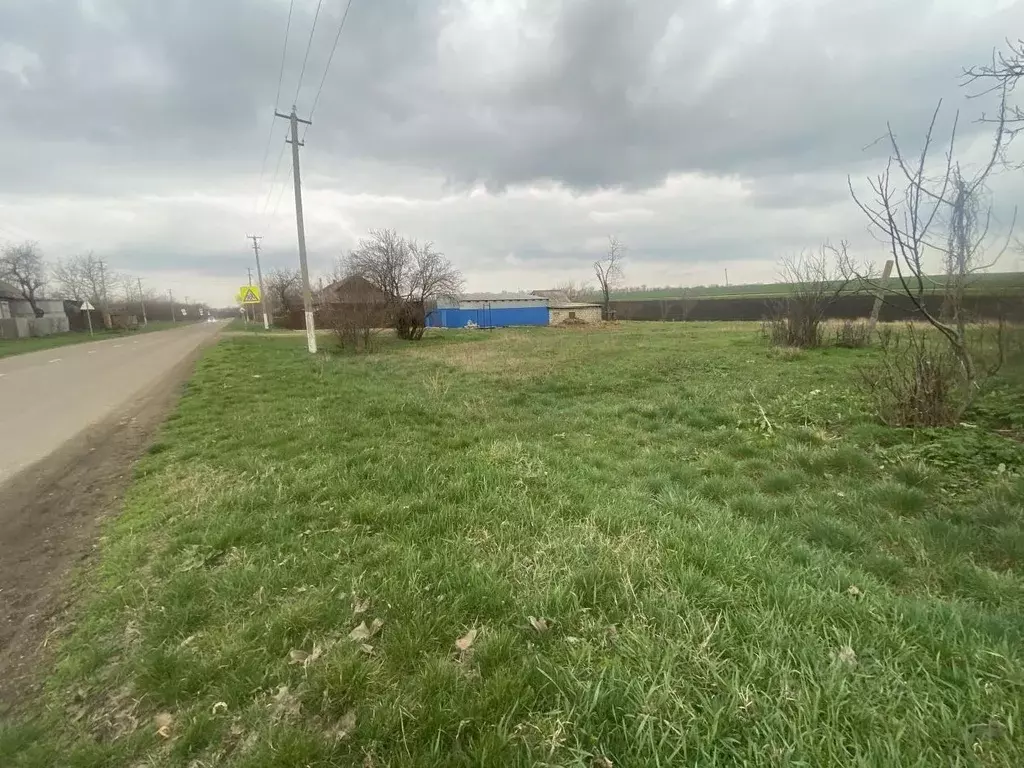 Участок в Краснодарский край, Новокубанский район, Верхнекубанское ... - Фото 2