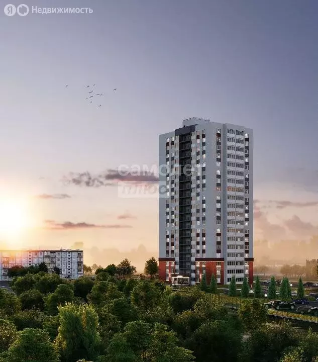 1-комнатная квартира: Липецк, Агрономическая улица, 16 (31 м) - Фото 0