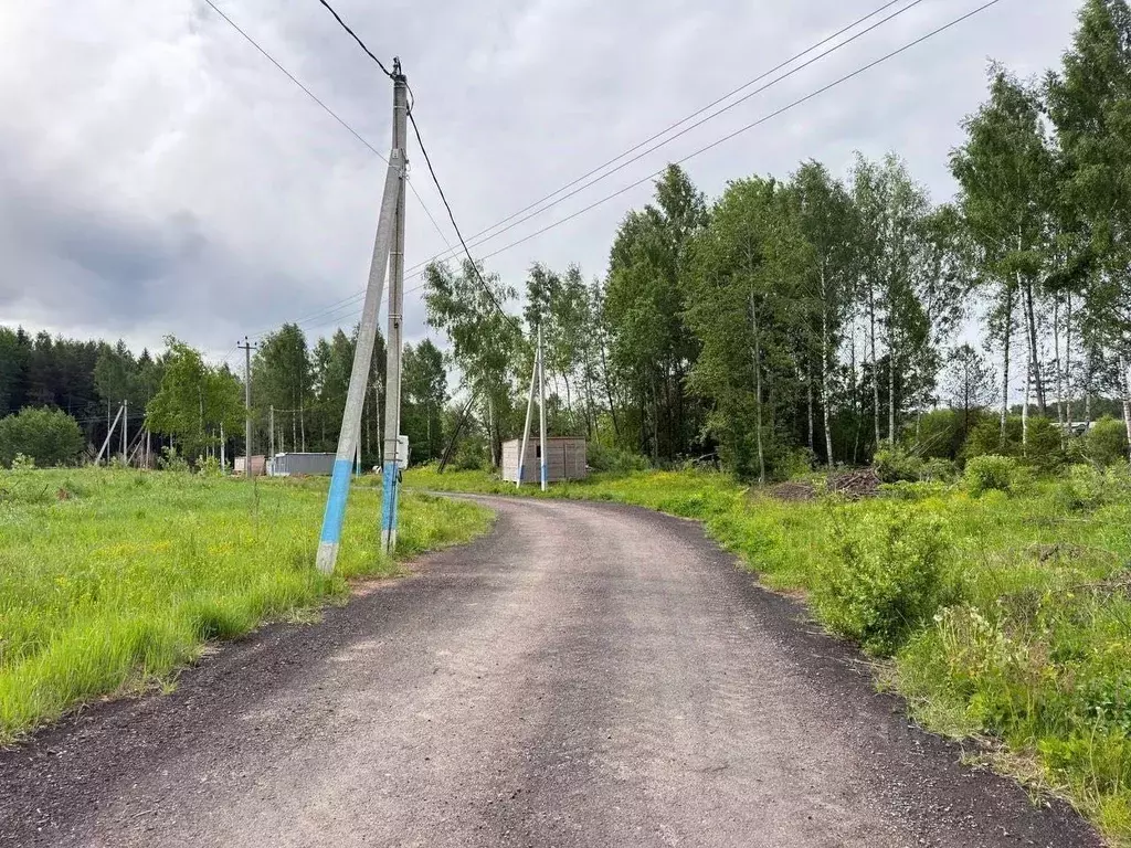 Участок в Московская область, Дмитровский муниципальный округ, пос. ... - Фото 1