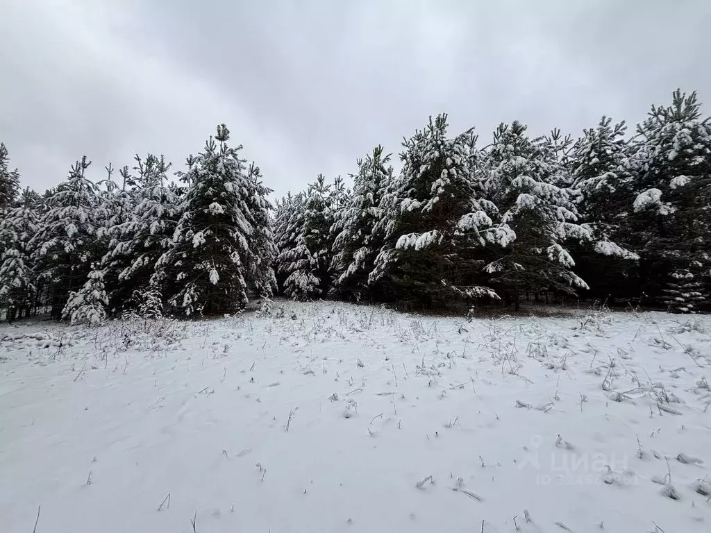 Участок в Кировская область, Слободской район, Шиховское с/пос, д. ... - Фото 1