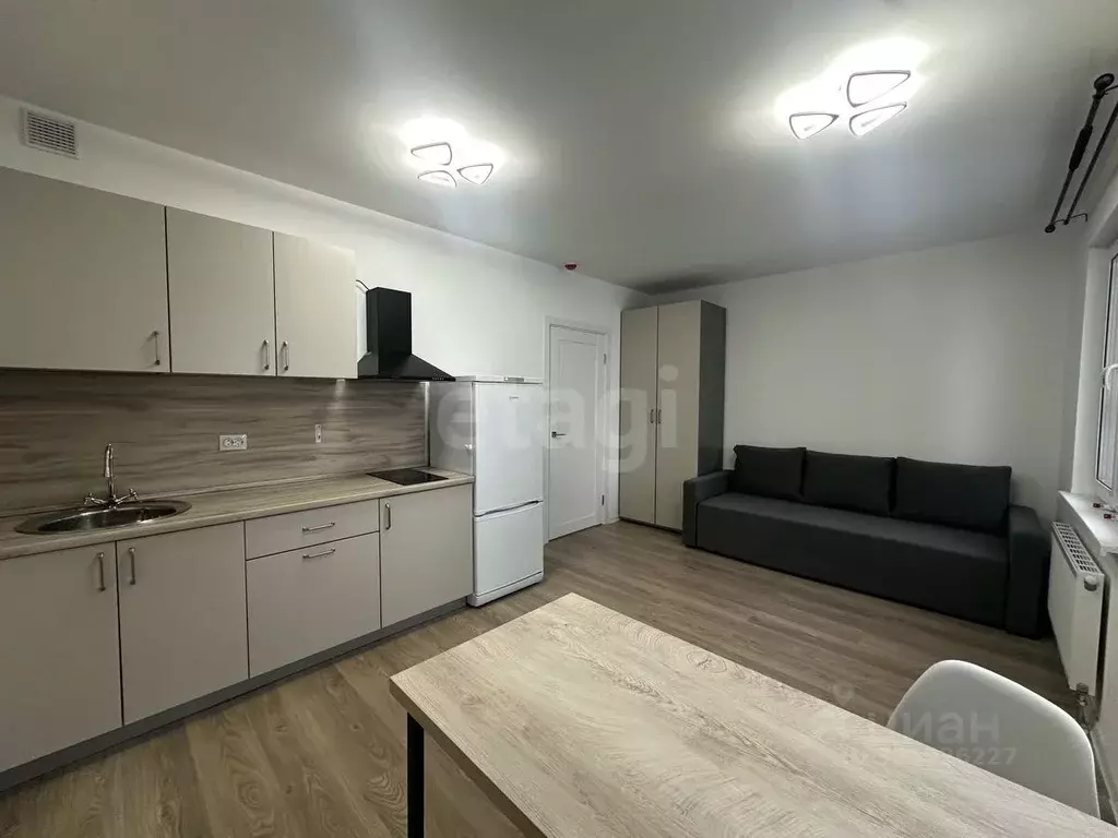 Студия Ленинградская область, Всеволожское городское поселение, пос. ... - Фото 1