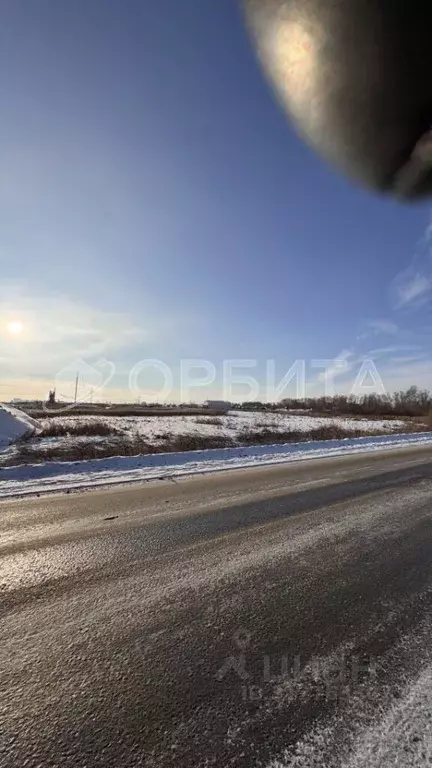 Участок в Тюменская область, Тюмень Велижанский тракт, 7-й км (49.0 ... - Фото 1