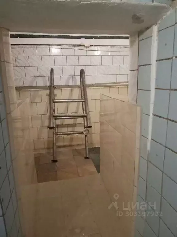 Помещение свободного назначения в Мурманская область, Мурманск ул. ... - Фото 1