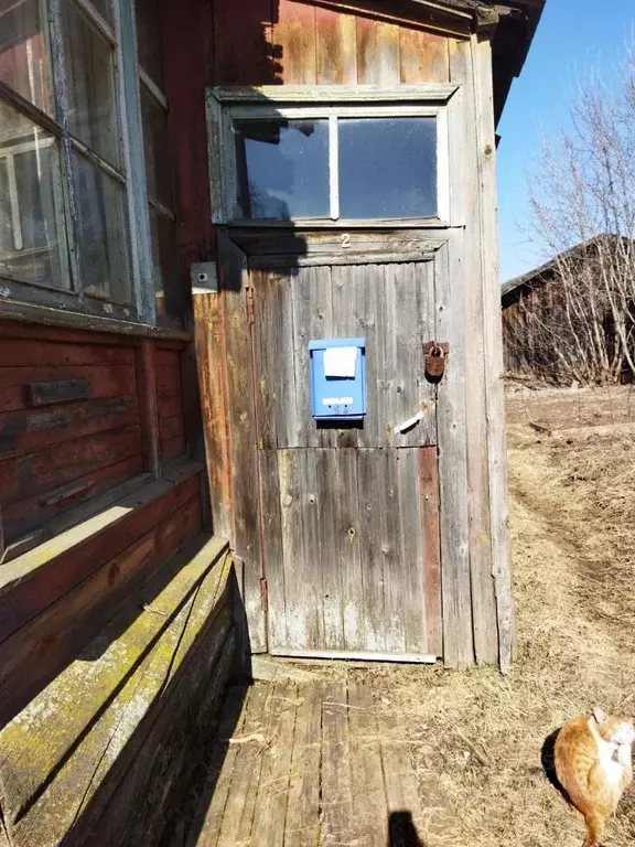 Помещение свободного назначения в Кировская область, Киров Новый мкр, ... - Фото 1