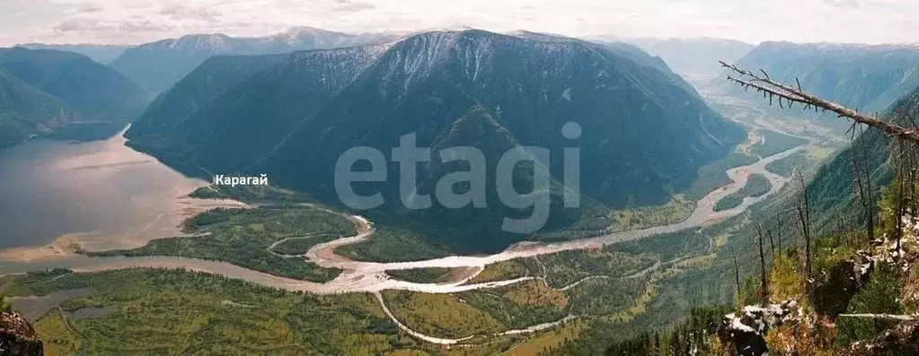 Помещение свободного назначения в Алтай, Улаганский район, с. Балыкча ... - Фото 1