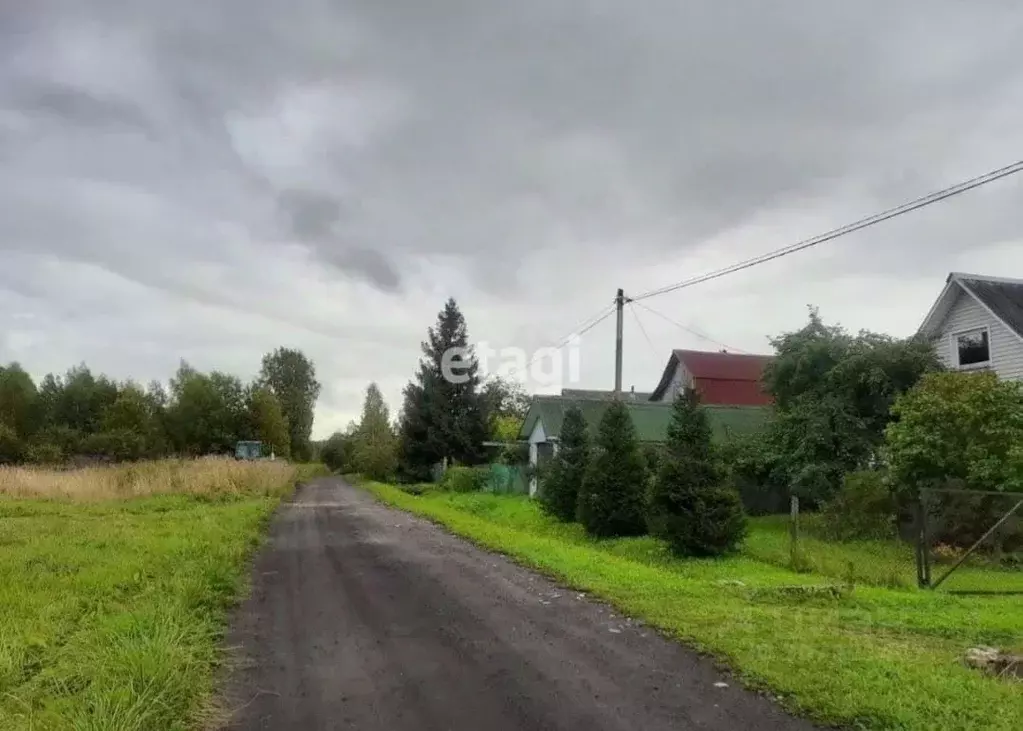 Участок в Ленинградская область, Лужский район, Серебрянское с/пос, д. ... - Фото 0