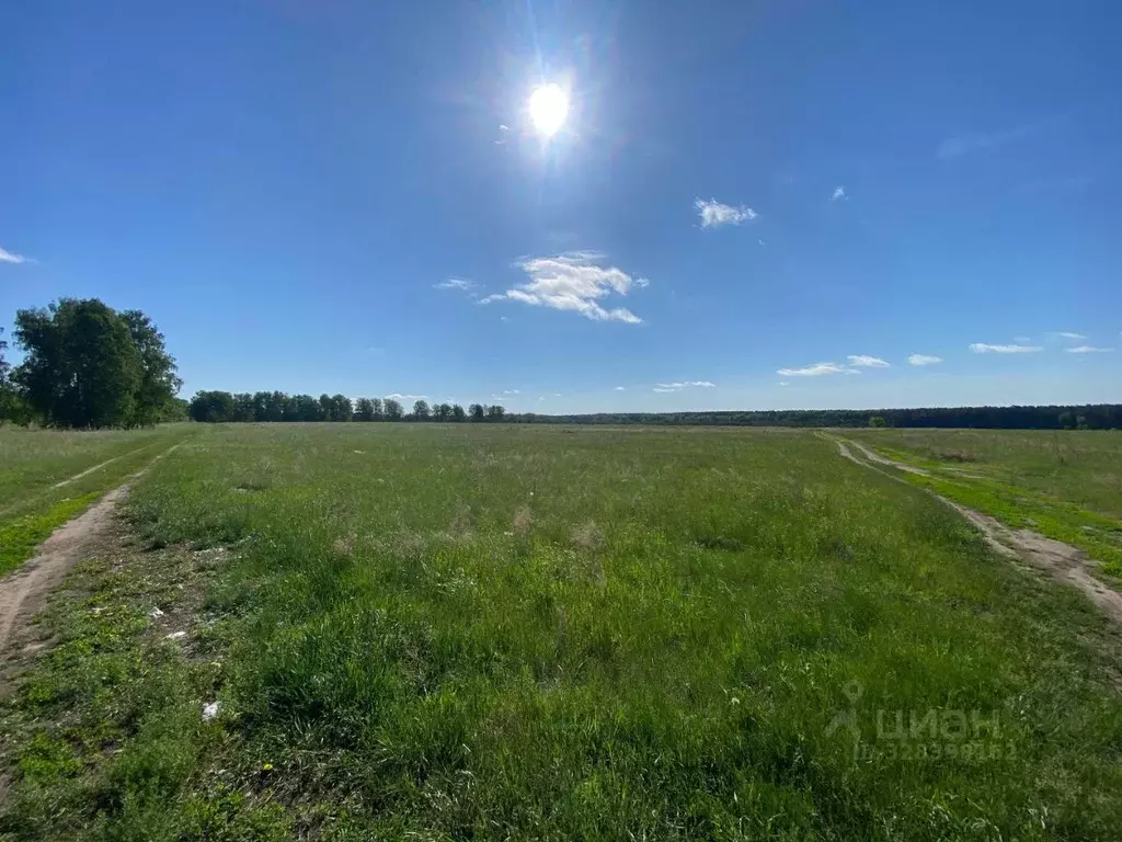 Участок в Новосибирская область, Ордынский район, пос. Чернаково  ... - Фото 1