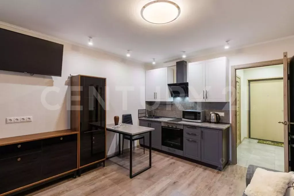 Студия Ленинградская область, Ломоносовский район, Виллозское ... - Фото 1