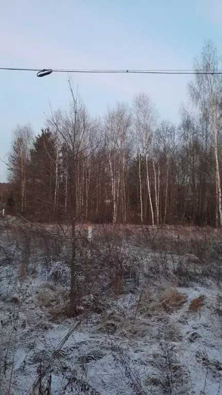 Участок в Московская область, Ступино городской округ, д. Прудно ул. ... - Фото 0