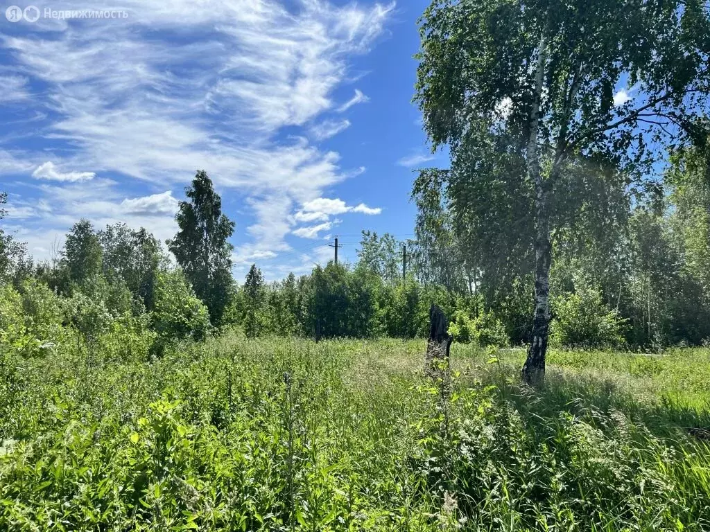 Участок в Краснокамский городской округ, рабочий посёлок Оверята (29.2 ... - Фото 1