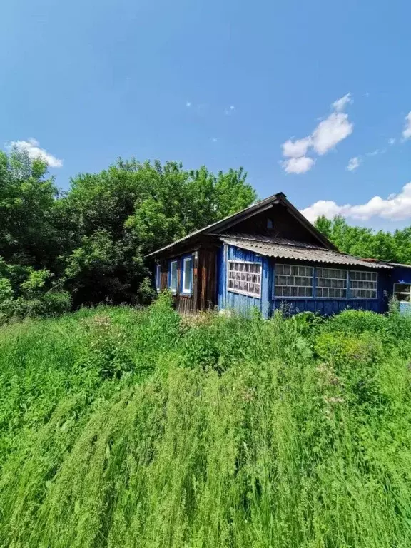 Дом в Алтайский край, Быстроистокский район, с. Новопокровка Советская ... - Фото 2
