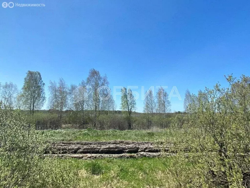 Участок в Нижнетавдинский район, посёлок Кунчур (50 м) - Фото 0