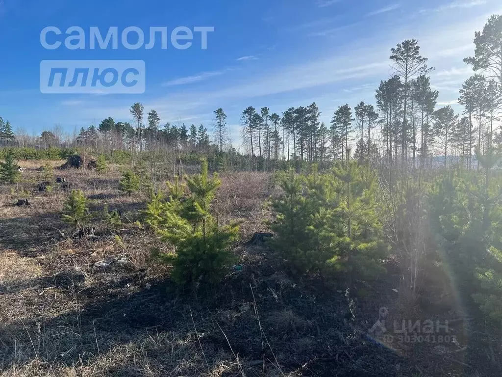 Участок в Забайкальский край, Читинский район, с. Смоленка  (8.0 сот.) - Фото 0