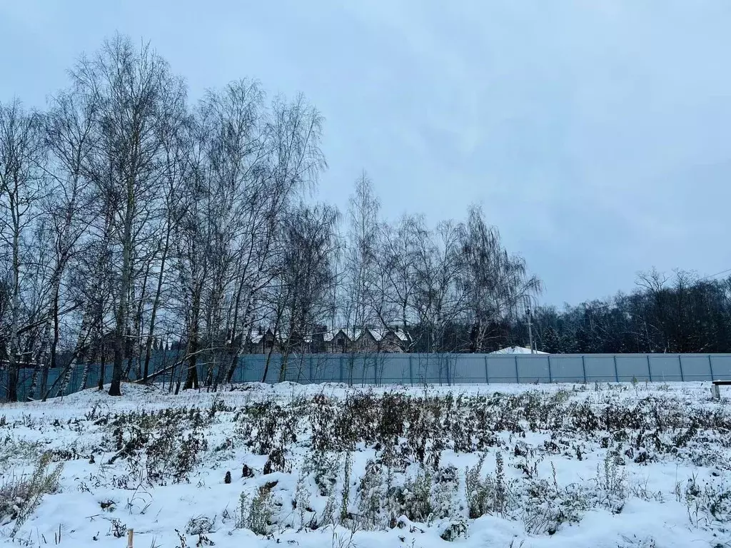 Участок в Московская область, Домодедово городской округ, пос. ... - Фото 2