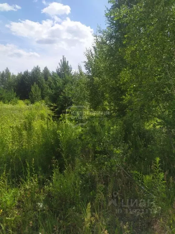 Участок в Владимирская область, Суздальский район, Боголюбовское ... - Фото 0