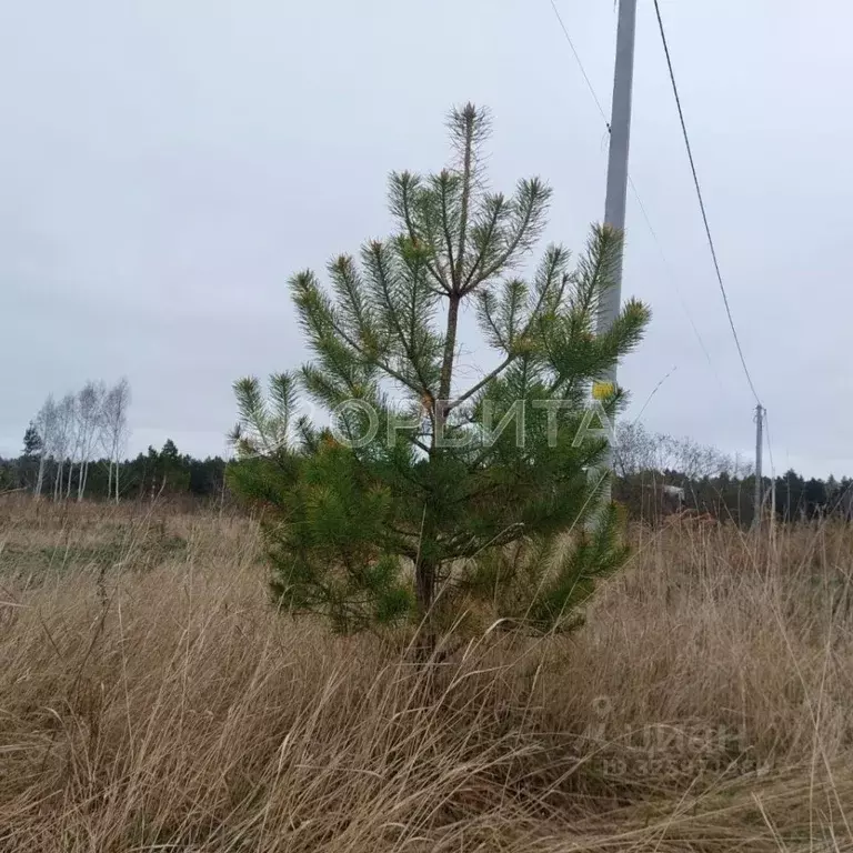 Участок в Тюменская область, Тюменский муниципальный округ, Пятница ... - Фото 2