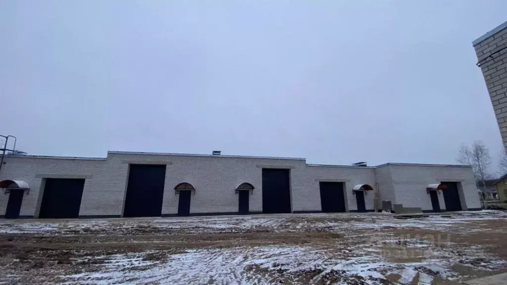Производственное помещение в Новгородская область, Новгородский район, ... - Фото 1
