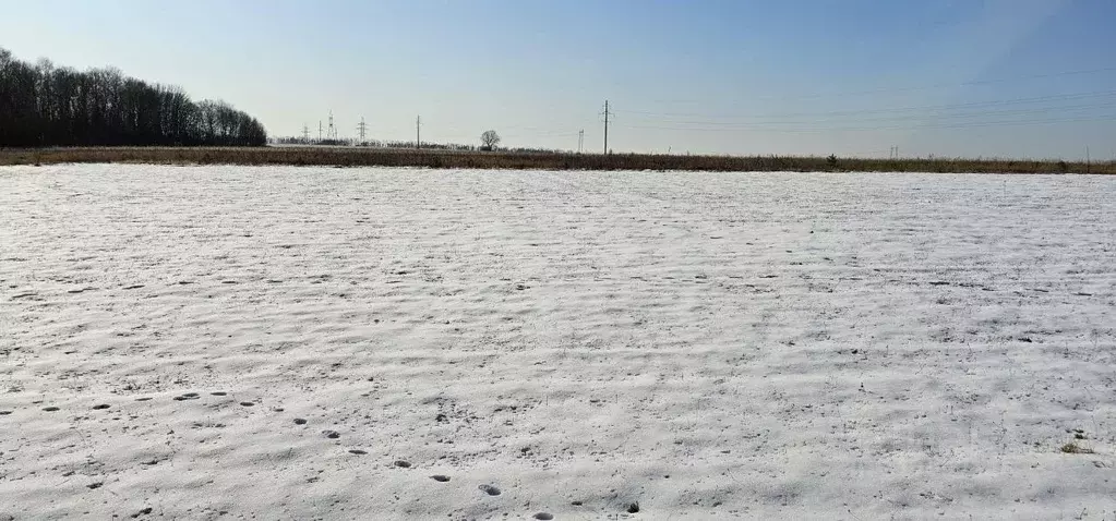 Участок в Московская область, Луховицы  (34.0 сот.) - Фото 1