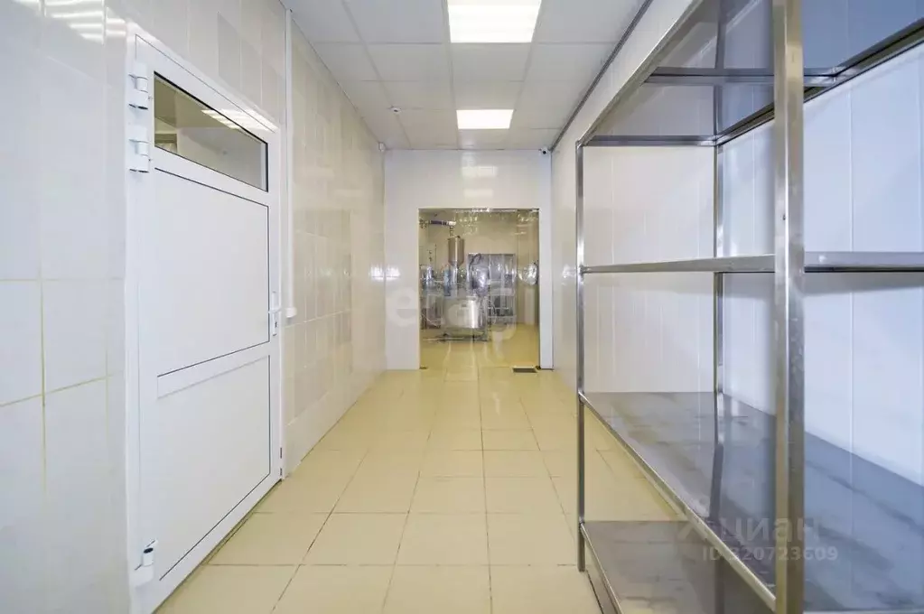 Склад в Свердловская область, Березовский Шиловский мкр, ул. Новая, ... - Фото 2