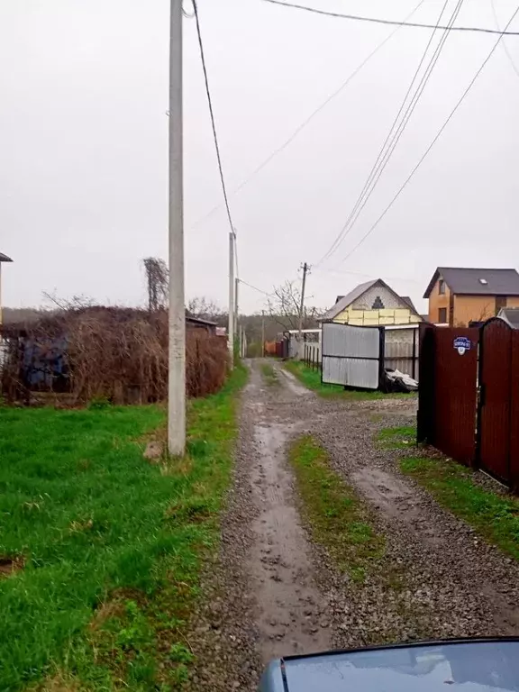 Участок в Белгородская область, Яковлевский городской округ, с. Шопино ... - Фото 1